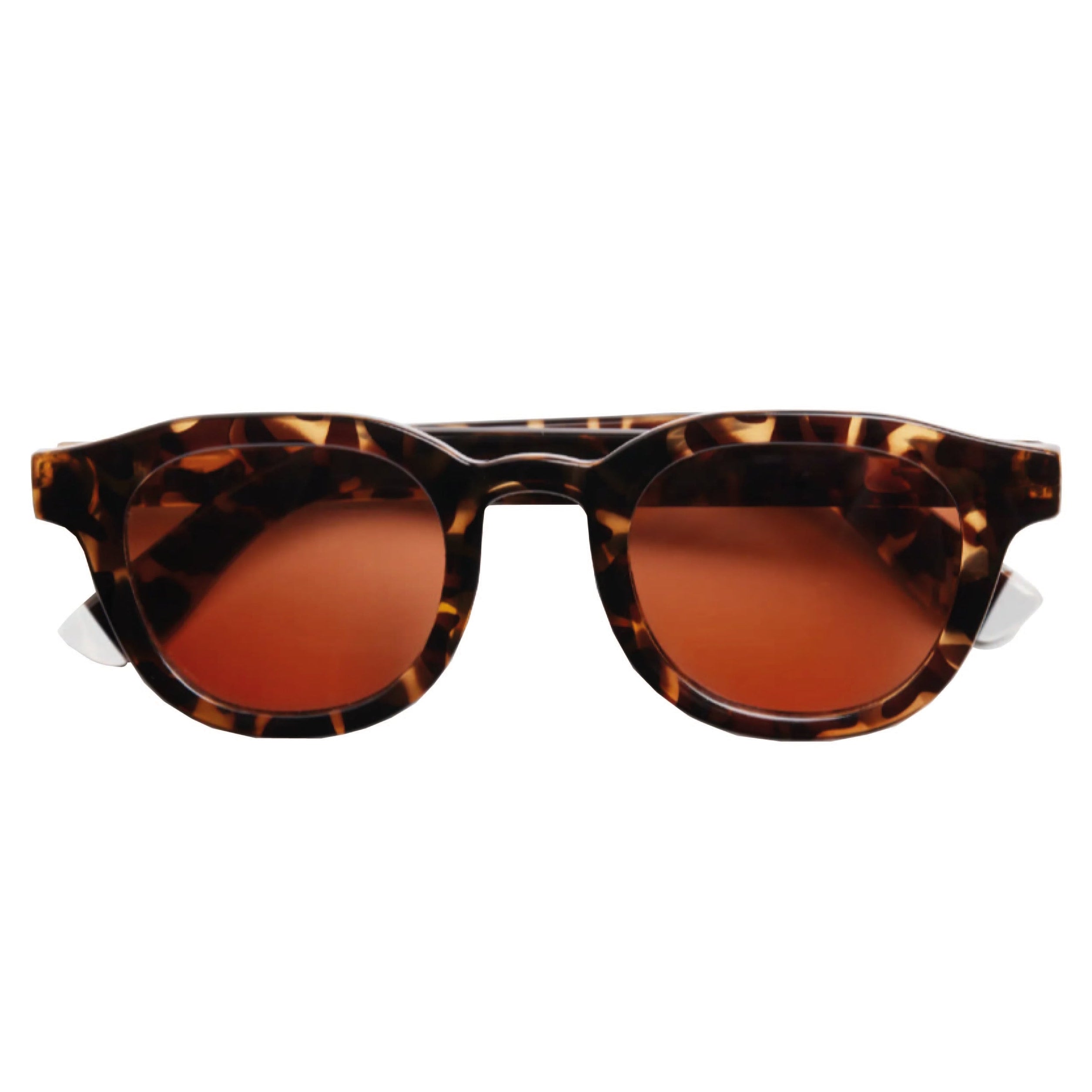 Andy Glossy - Tortoise Sun