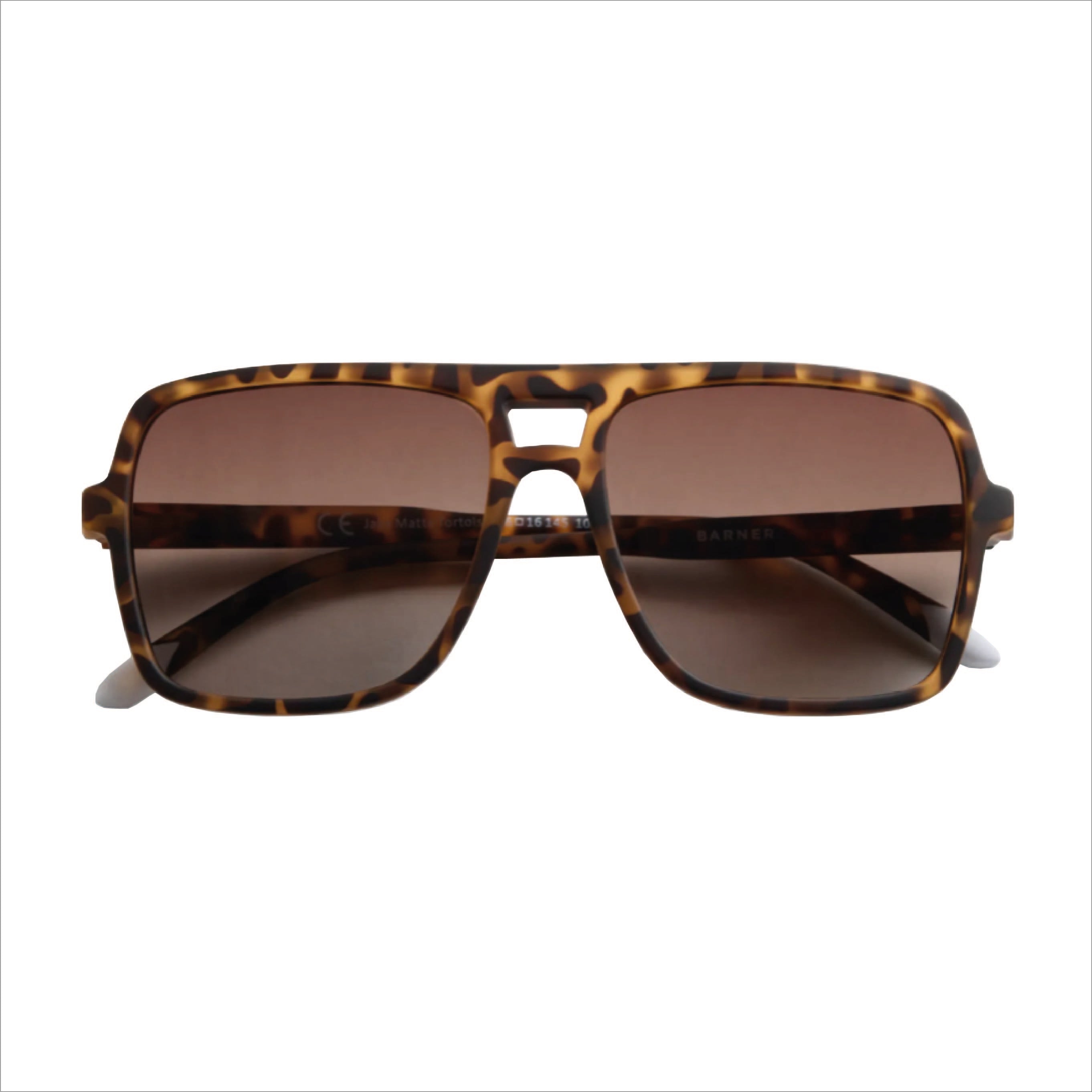 Jake Matte - Tortoise Sun