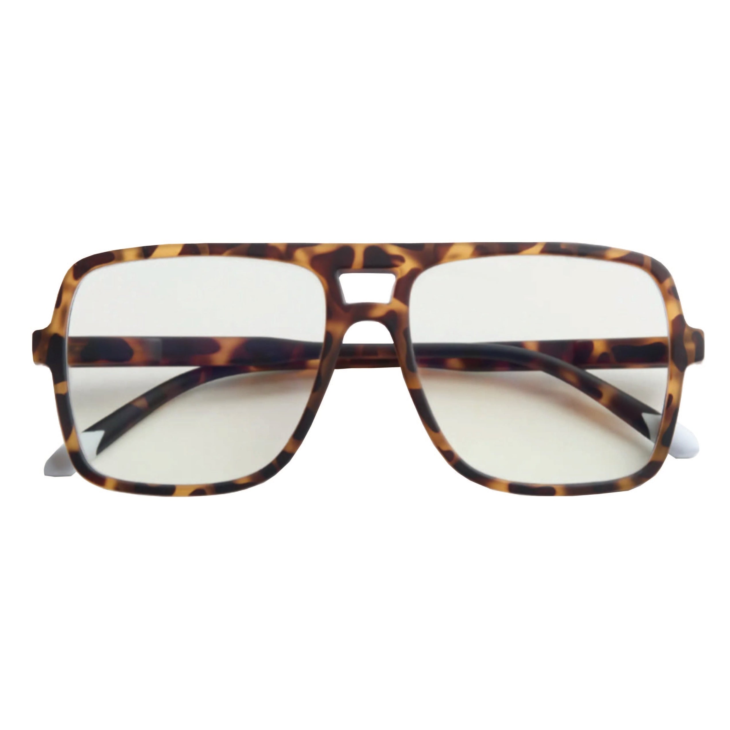 Jake Matte Tortoise