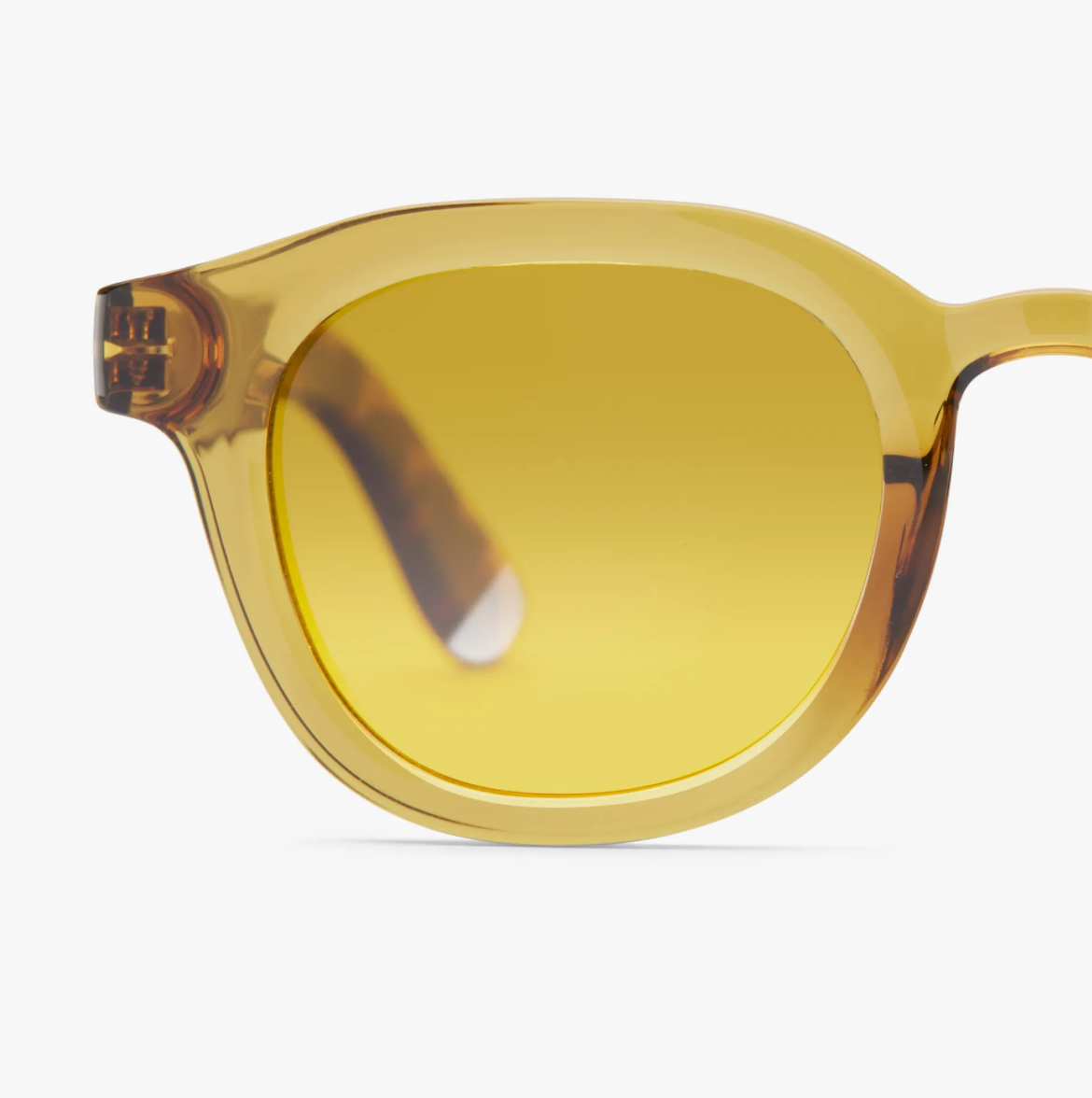 Andy Glossy - Olive Combi Sun