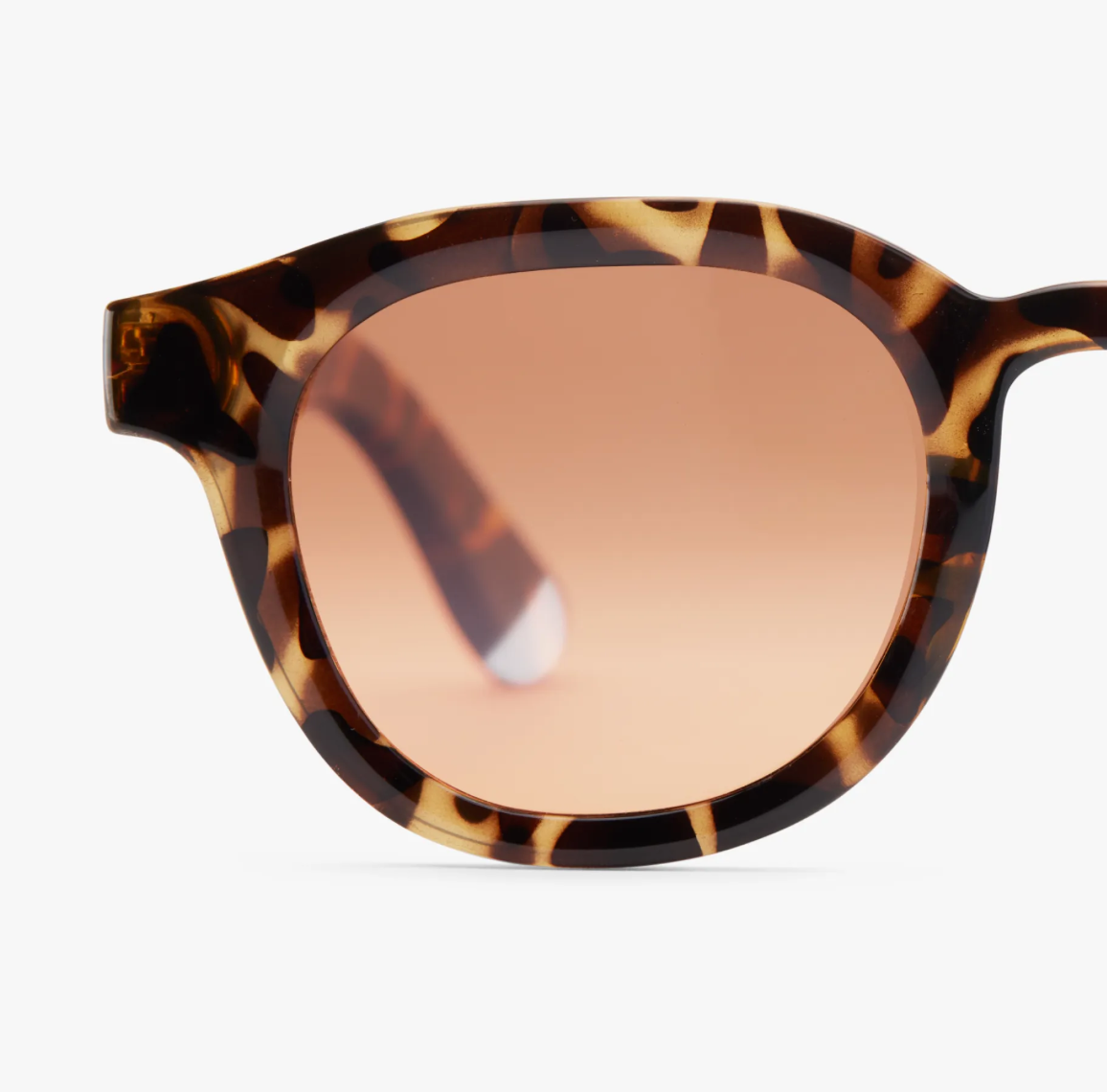 Back angle view of the Andy Glossy - Tortoise Sun sunglasses by Barner highlighting the frame.