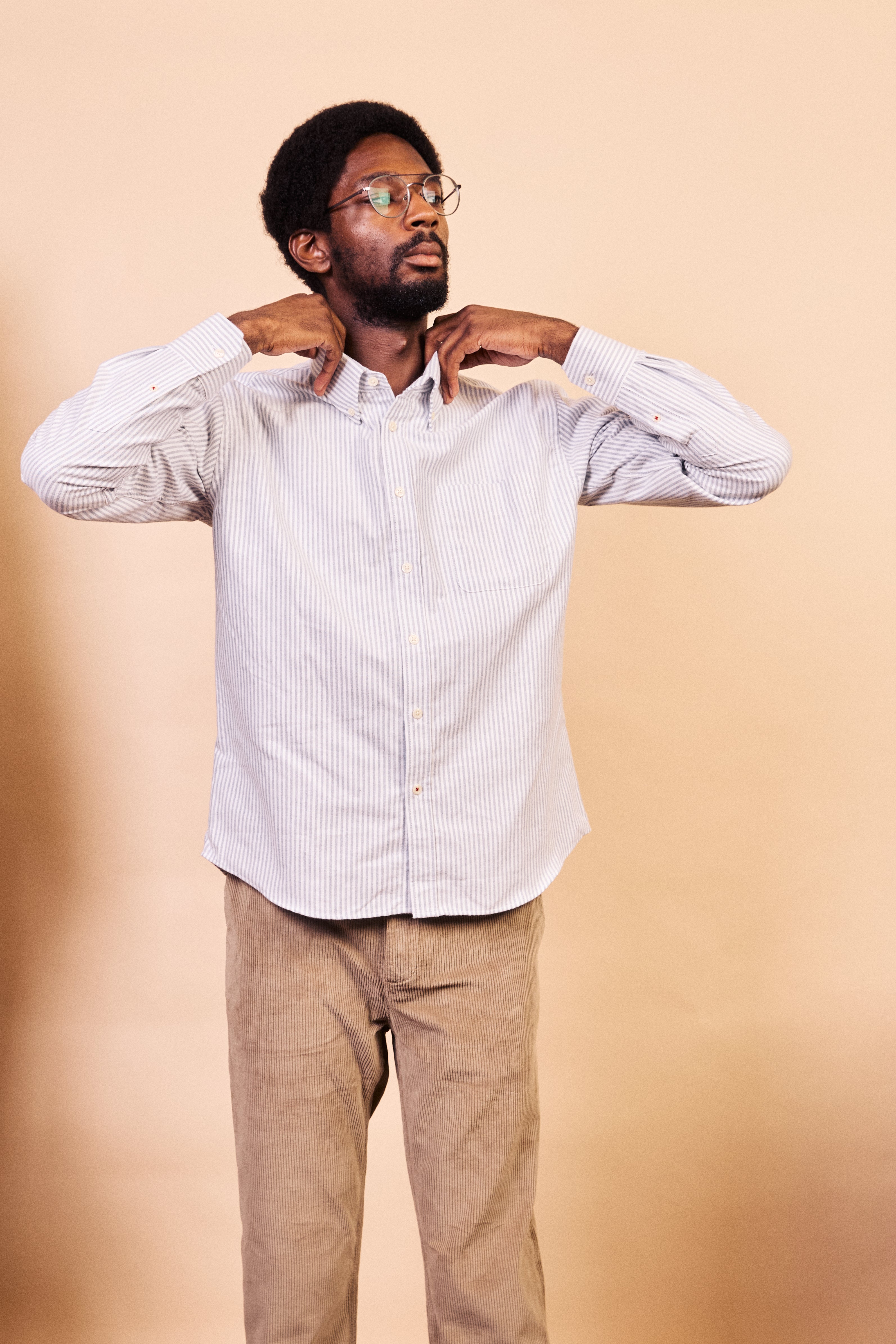 Button-down Cotton Oxford Shirt - Navy Stripe