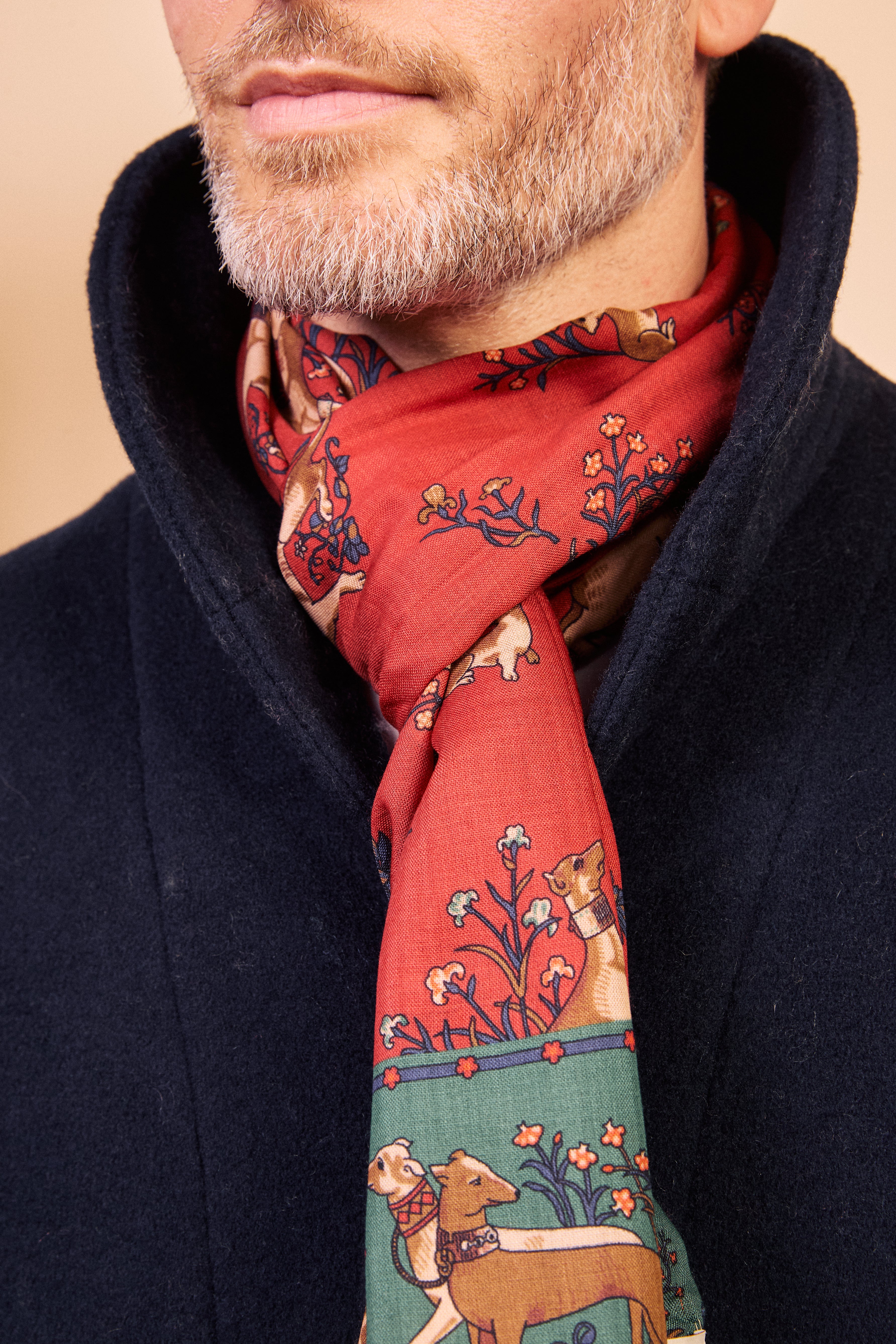 Silk Scarf - Dog Red