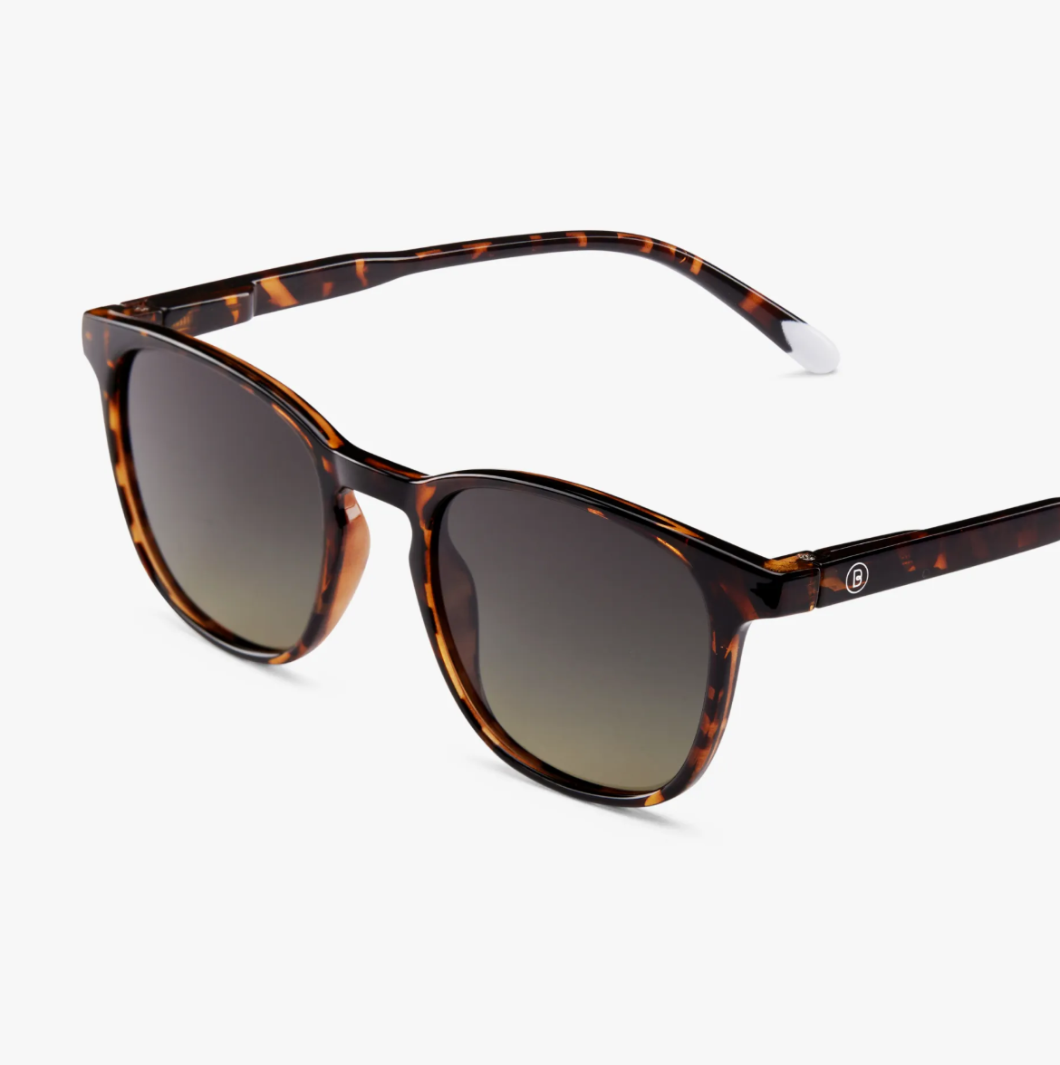 Brad Glossy - Tortoise