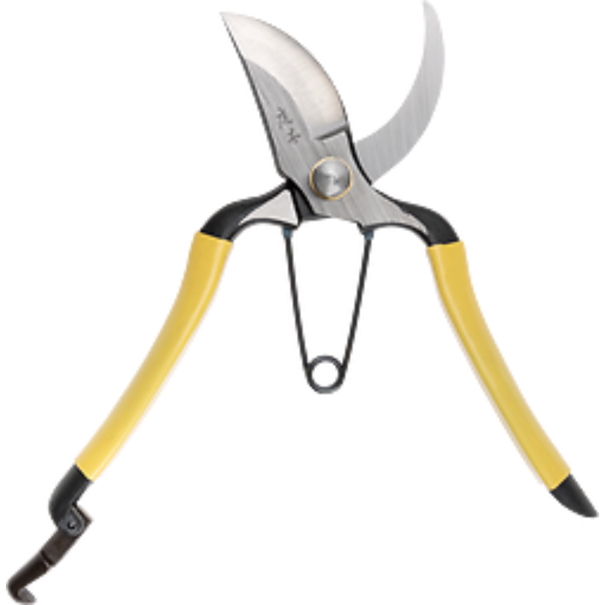 Secateurs