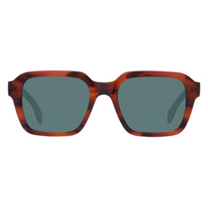 TBD Eyewear Lino Sunglasses - Havana/Bottle Green - Burrows and Hare